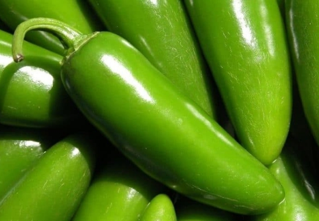 tipo de pimenta jalapeño