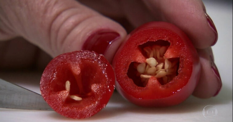 pimenta maria bonita