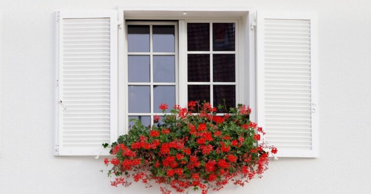 ideias decorar janela com plantas