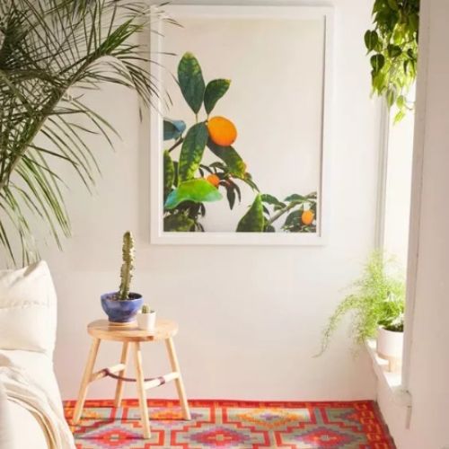 decoração de apartamento alugado com plantas