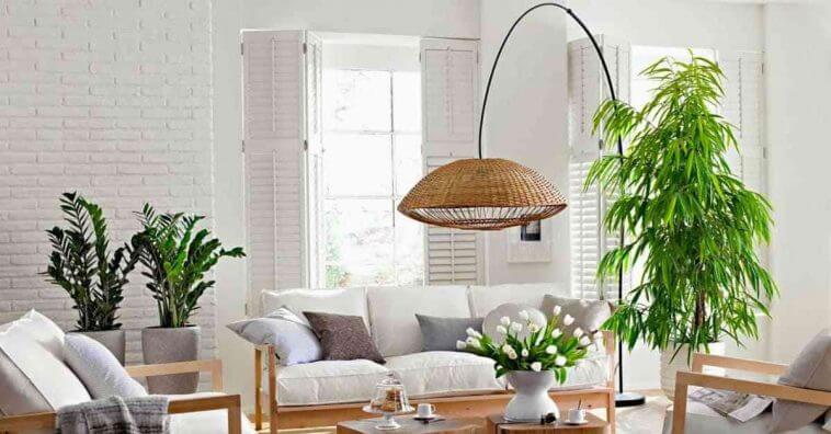 plantas que eliminam poluentes