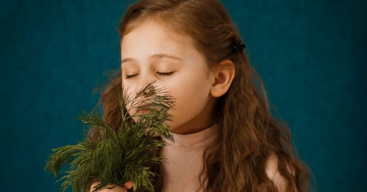 plantas tóxicas para crianças