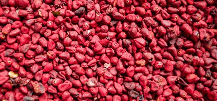 plantar urucum em casa