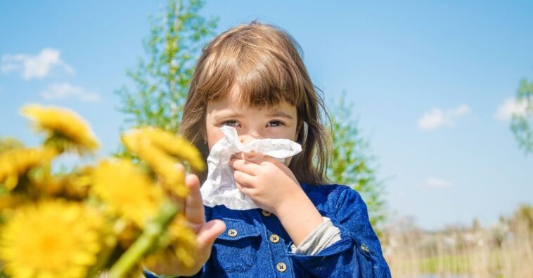 prevenir crises de alergia e asma em crianças