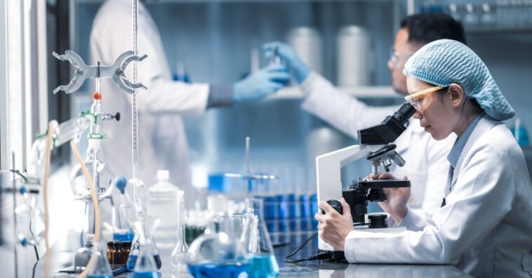 previsão de mortes por coronavirus no brasil