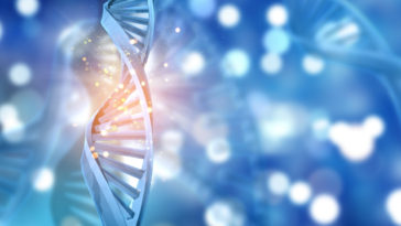 sintomas de leucemia