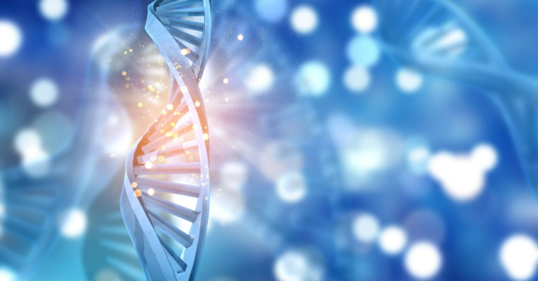 sintomas de leucemia