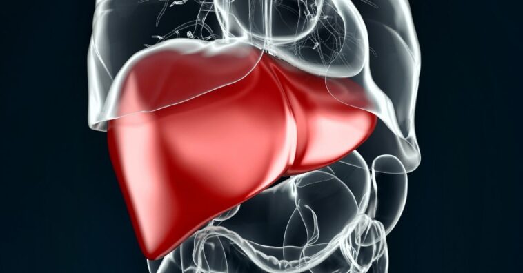 sintomas de problemas no fígado