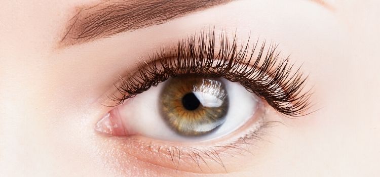 opções produtos para crescer cílios e sobrancelhas