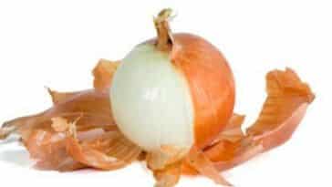 propriedades-cascas-cebolas