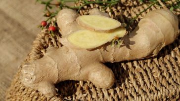 propriedades do gengibre