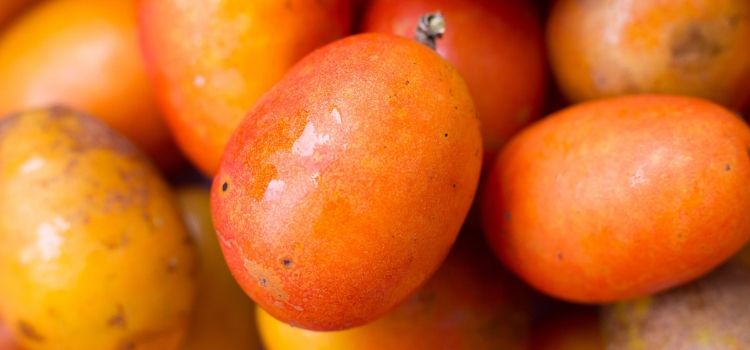 propriedades da siriguela