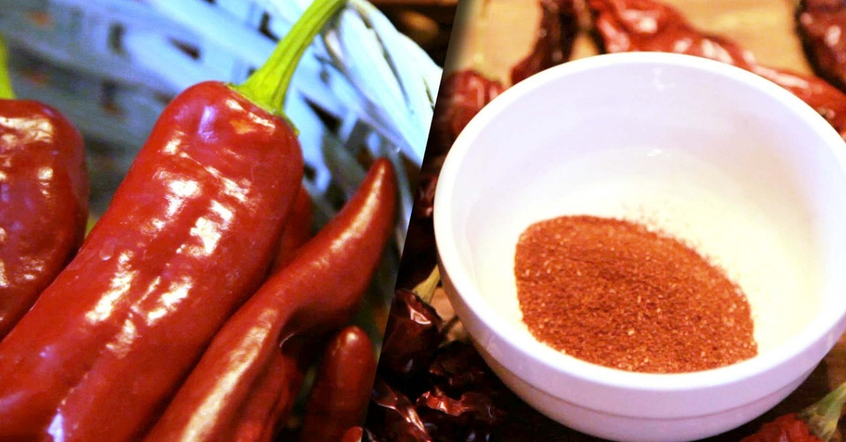 Páprica benefícios para a saúde e como incluir na alimentação