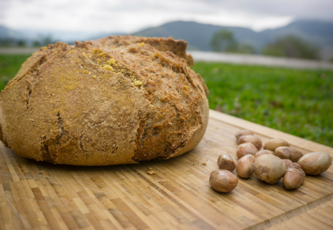 pão saudável com semente de jaca