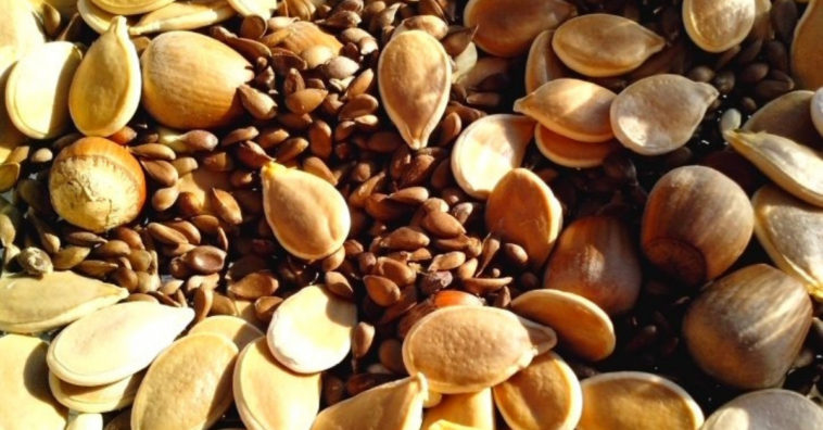 quais alimentos ricos em manganês