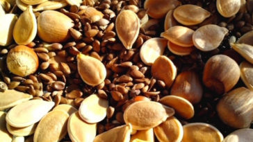 quais alimentos ricos em manganês