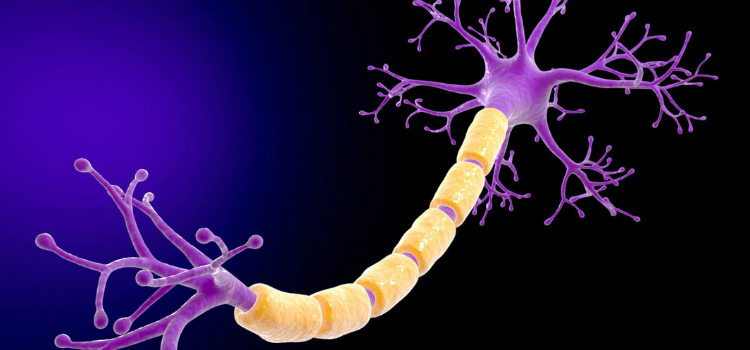 quais os sintomas de esclerose múltipla