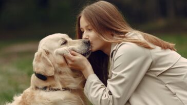 queda de pelo em cães