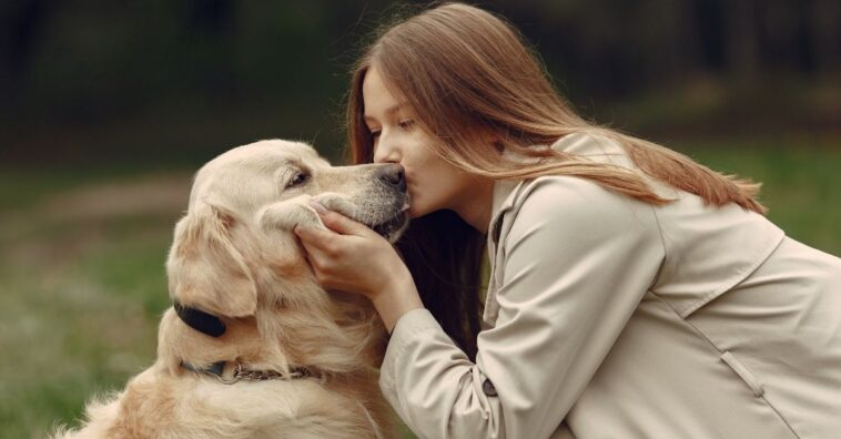 queda de pelo em cães