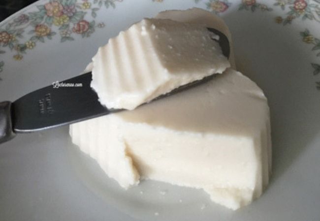 fazer queijo caseiro sem lactose