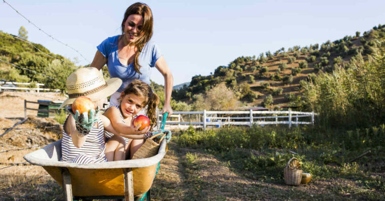 quem cresceu na roça sabe