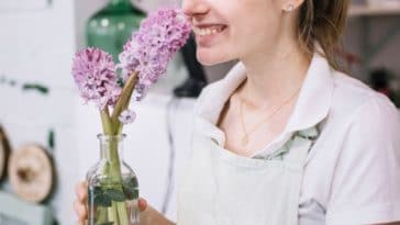 aromatizador de ambiente caseiro