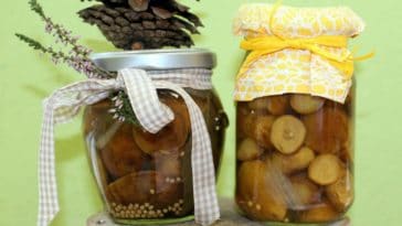 conserva de jurubeba