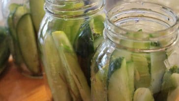 como fazer conserva de pepino