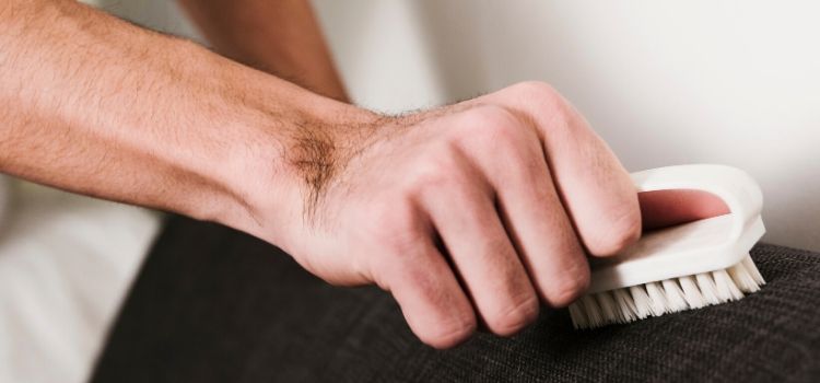 receita caseira para limpar sofá com bicarbonato de amaciante