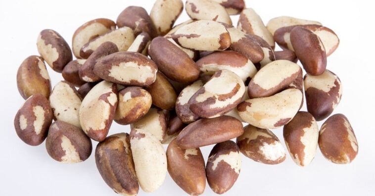 receitas com castanha-do-pará