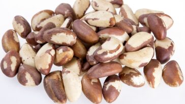 receitas com castanha-do-pará