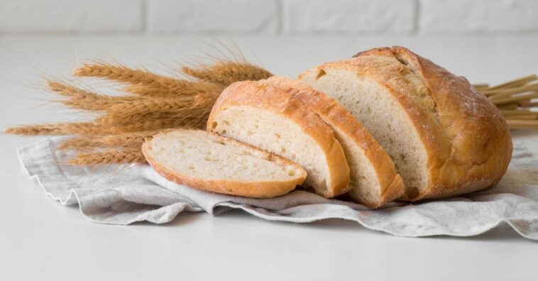 como fazer Pão sem farinha de trigo