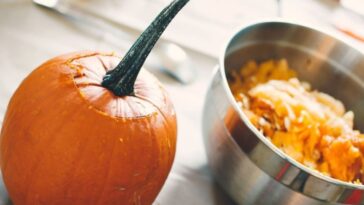 carne seca com abóbora