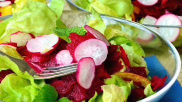 conserva de rabanete