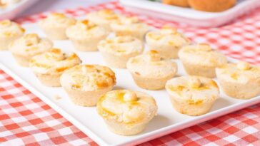 empada de liquidificador