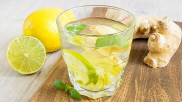 receitas de ginger ale