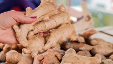 remédios caseiros com gengibre