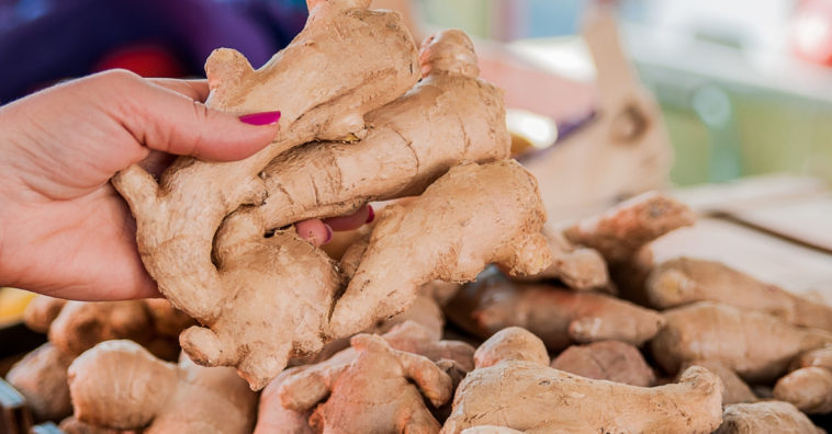 remédios caseiros com gengibre