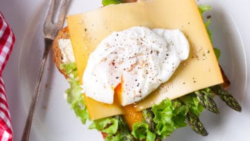 receitas de requeijão caseiro