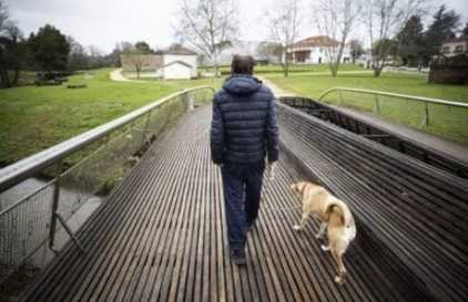 recusou trocar sua cachorra por um abrigo 2