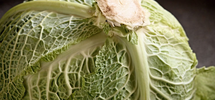 remédios caseiros para esporão couve