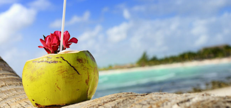remedios caseiros para intoxicacao alimentar agua de coco