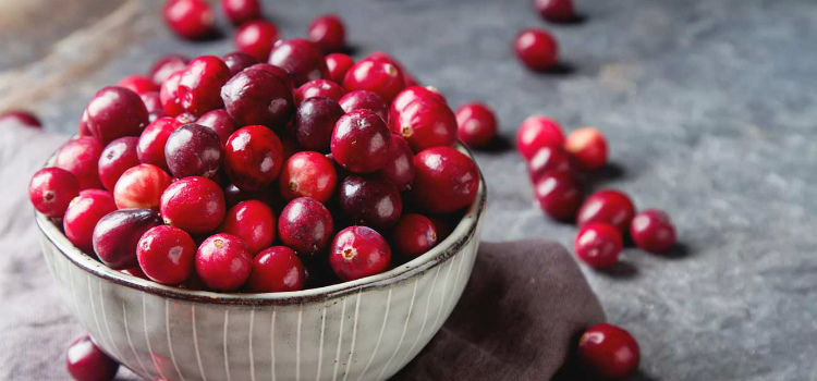 remédios caseiros para retenção de líquidos cranberry