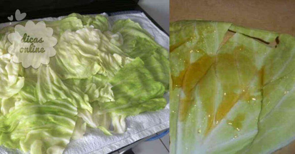 repolho_mel_2_dicas_online