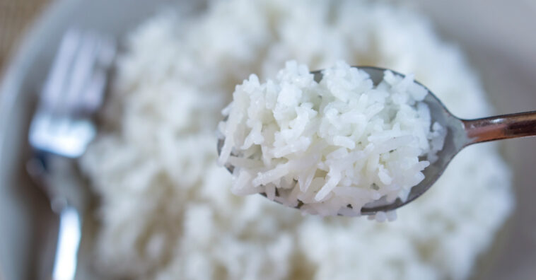 rocambole de arroz