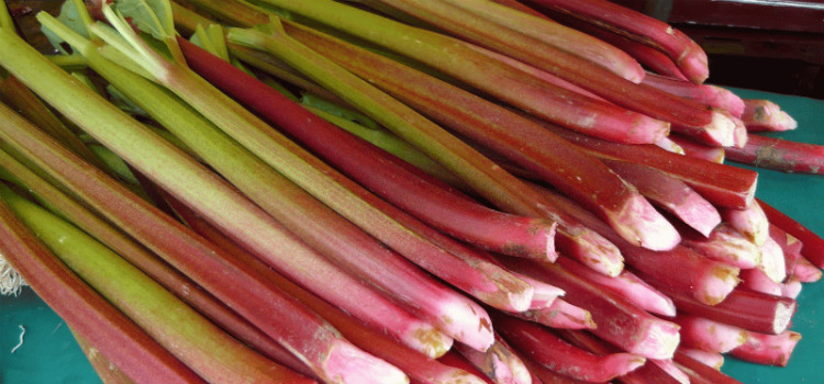 ruibarbo benefícios para a saúde