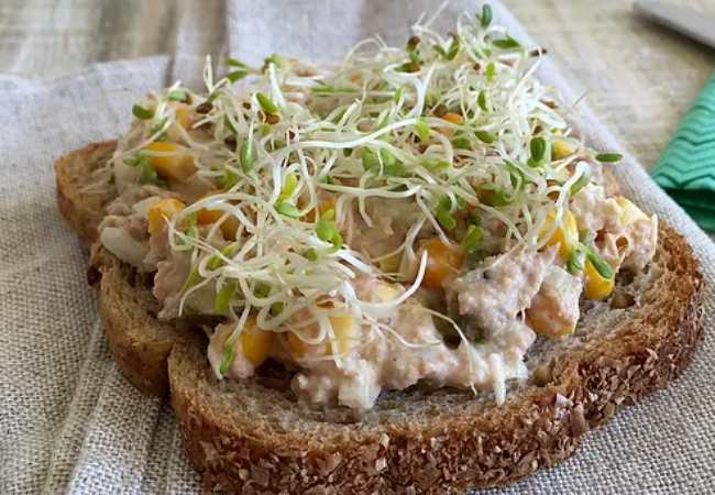 sanduíche com broto de alfafa