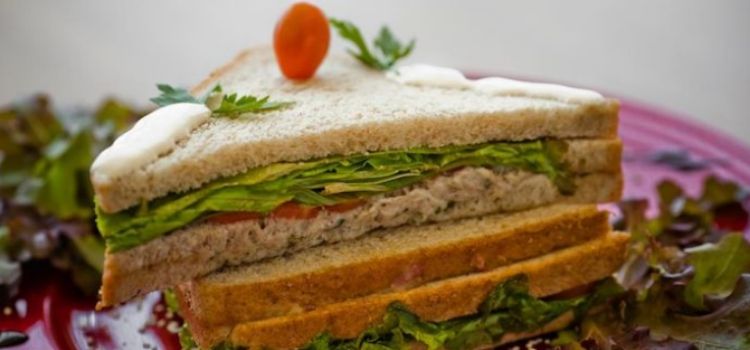 receita de sanduiche natural de atum com maionese