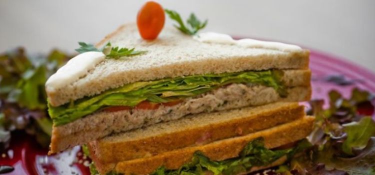 receita de sanduiche natural de atum com maionese