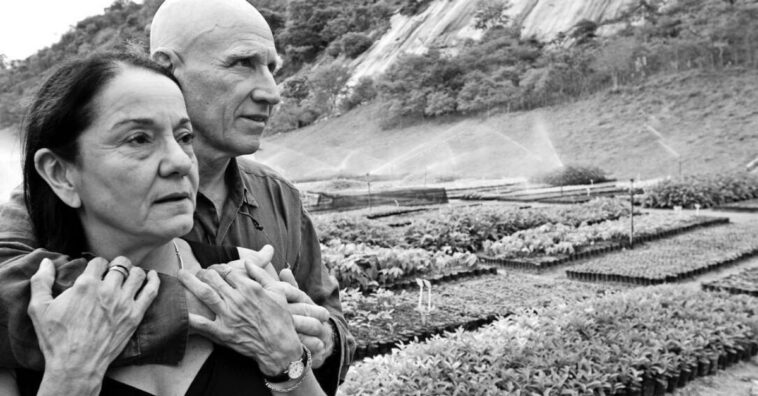 sebastião salgado e esposa replantam floresta
